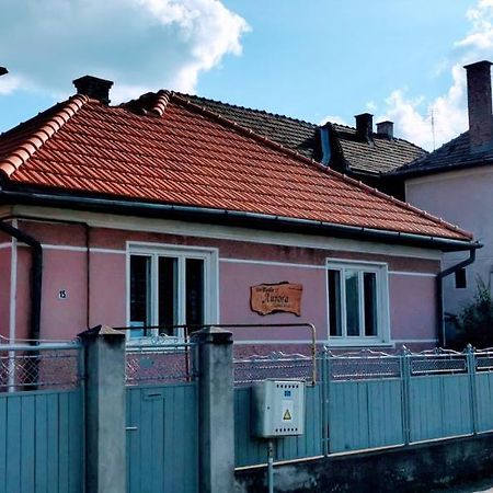 Sepsi-Szek Hotel Sfântu-Gheorghe Buitenkant foto